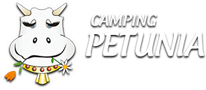 Camping Petunia con costa de Lago en Bariloche